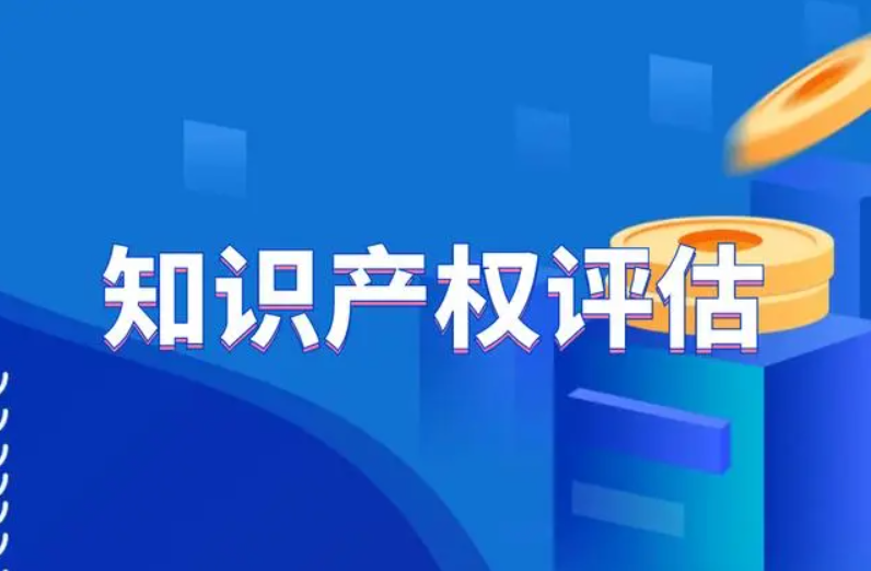 企業(yè)知識產(chǎn)權(quán)資產(chǎn)評估的重要意義-海南知識產(chǎn)權(quán)-錢生錢財(cái)務(wù)咨詢