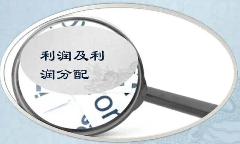 公司法中對(duì)利潤分配的財(cái)務(wù)規(guī)則-海南法律咨詢-錢生錢財(cái)務(wù)咨詢